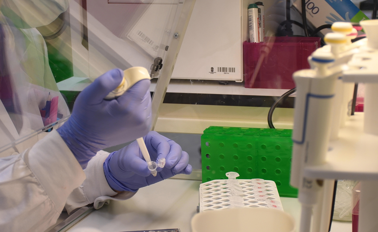 La UVigo ‘capta’ siete nuevos investigadores distinguidos