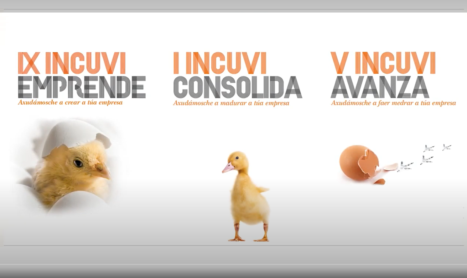 La UVigo impulsa con las ayudas INCUVI 17 nuevos proyectos empresariales de su alumnado más emprendedor