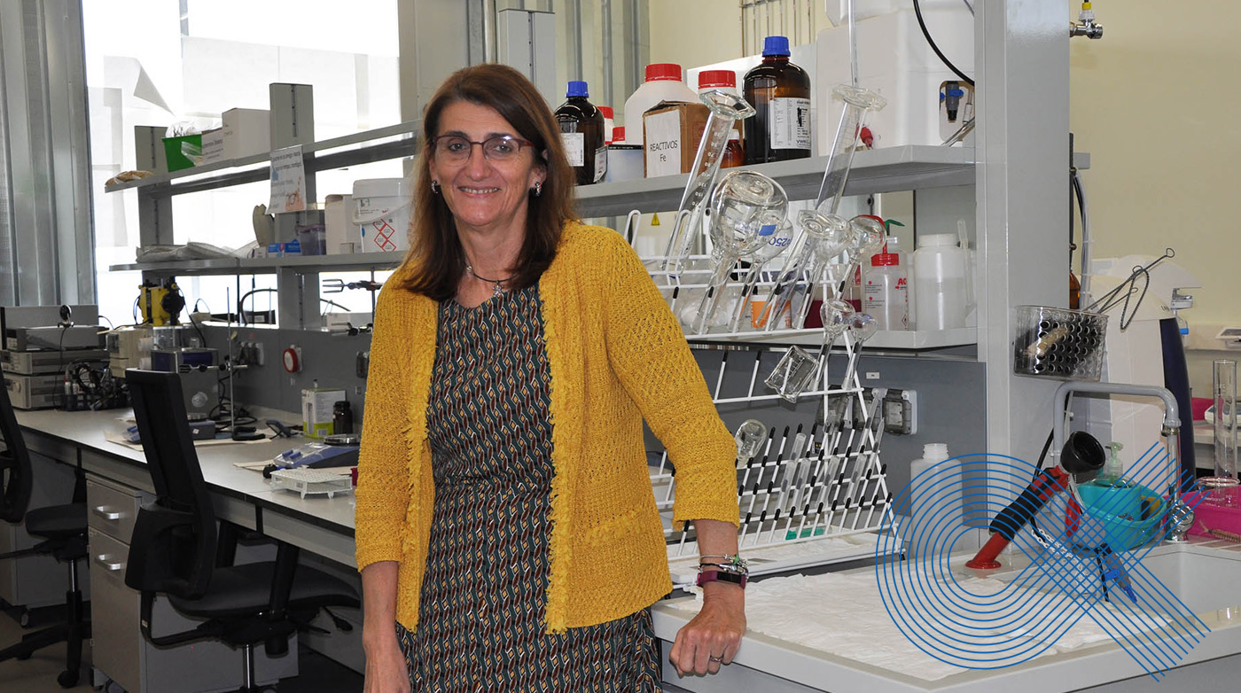Ángeles Sanromán, nueva directora del CINTECX